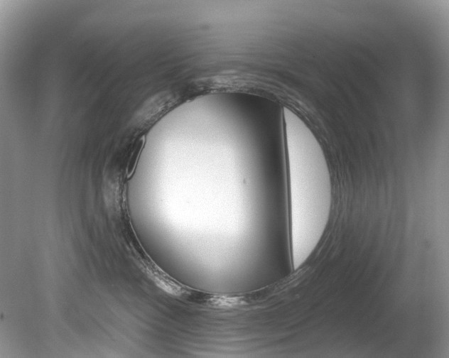 X0000080150333200612081059