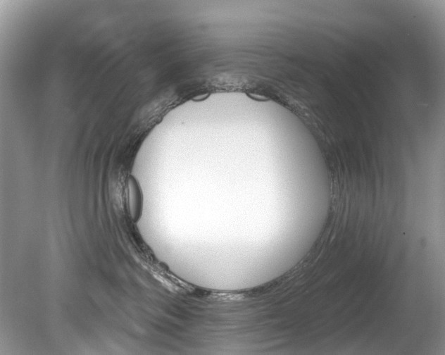 X0000080150334200612081059