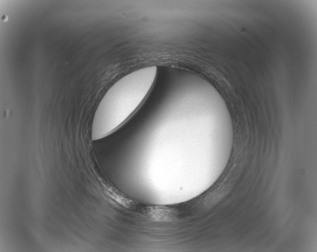 X0000080150336200612081059