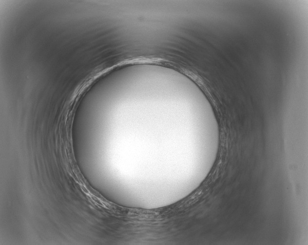 X0000080150337200612081058