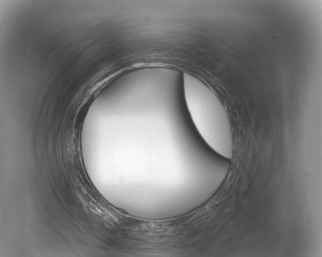 X0000080150338200612081058