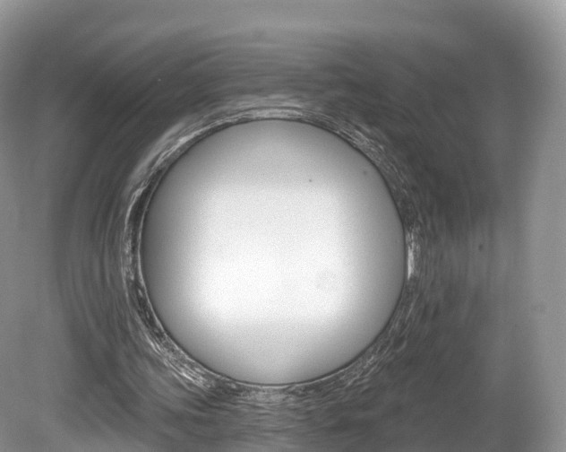 X0000080150339200612081058