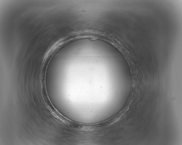 X0000080150341200612081058