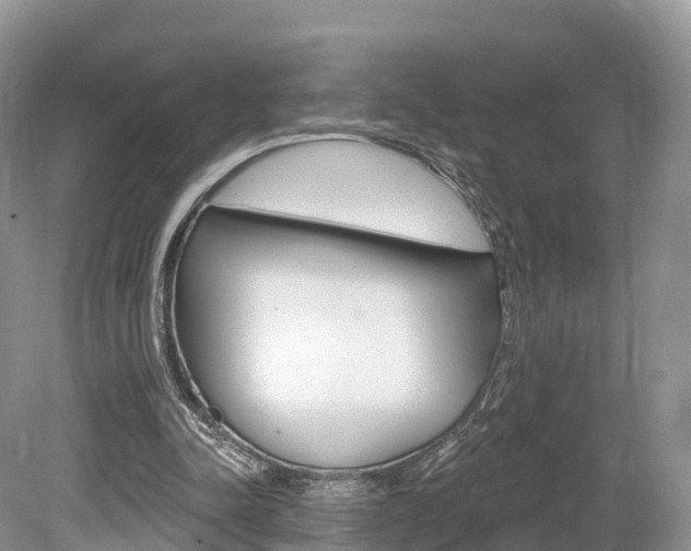 X0000080150342200612081058