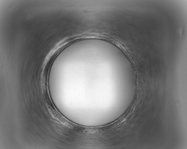 X0000080150343200612081058