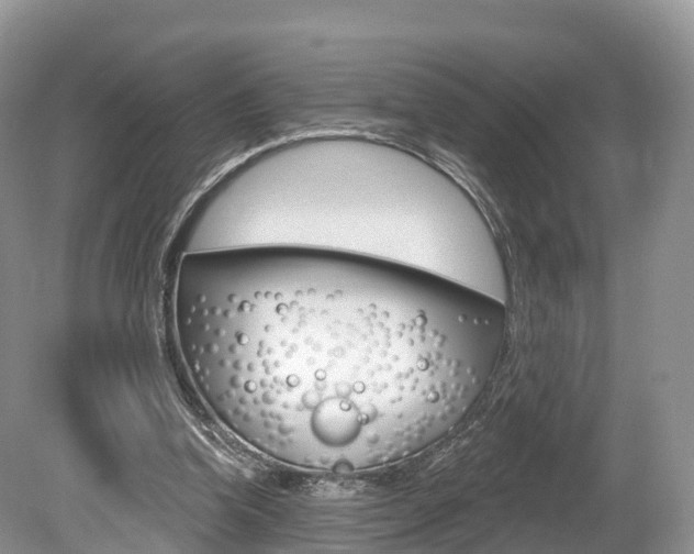 X0000080150346200612081058