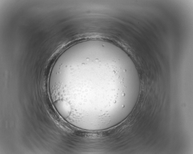 X0000080150347200612081058