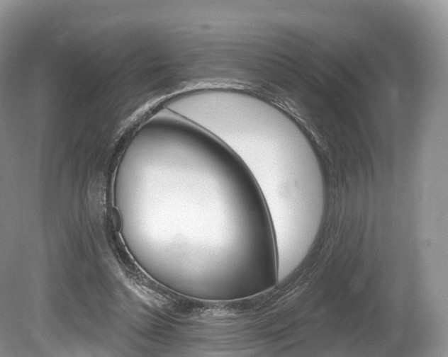X0000080150348200612081058