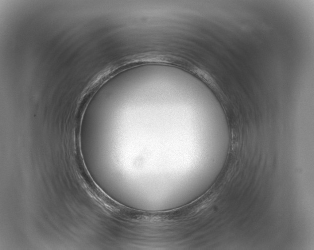 X0000080150349200612081058