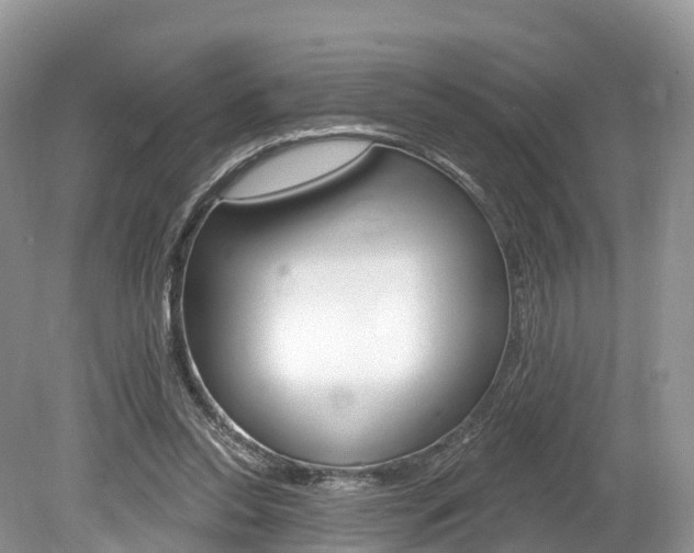 X0000080150350200612081058