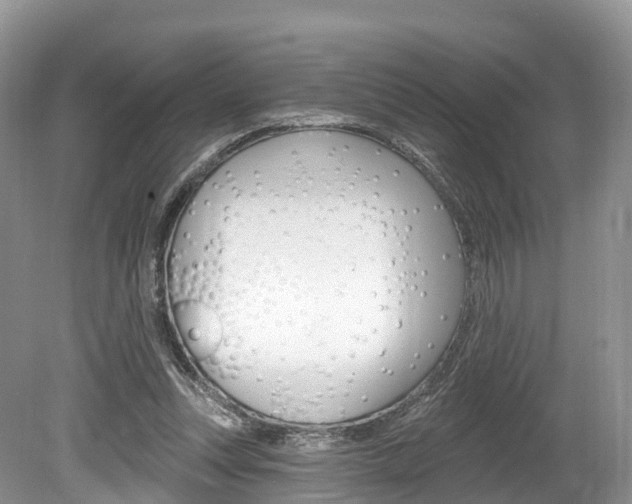 X0000080150351200612081058