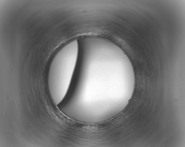 X0000080150354200612081058