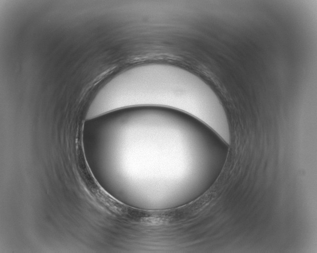X0000080150356200612081058
