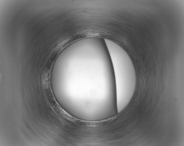 X0000080150360200612081058