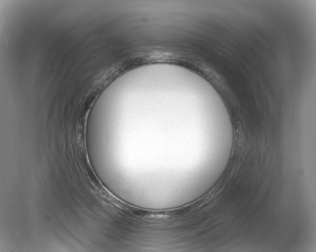 X0000080150361200612081058