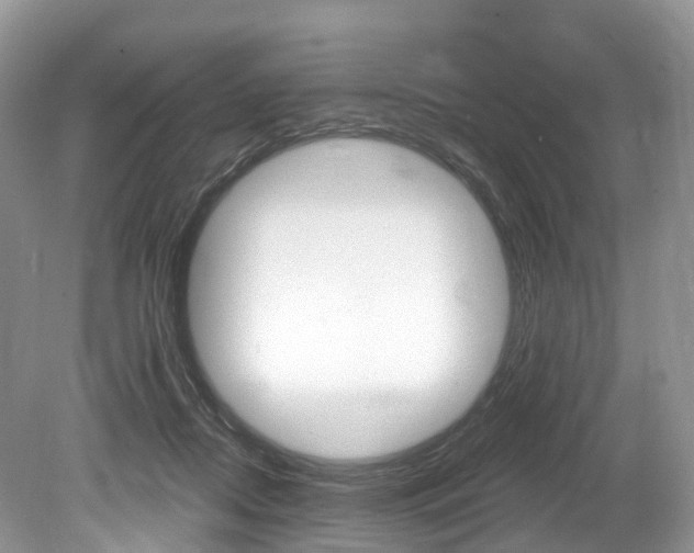 X0000080150362200612081058