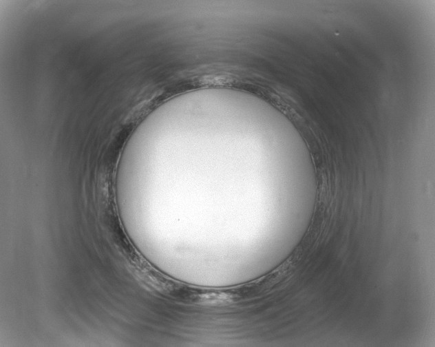 X0000080150363200612081058