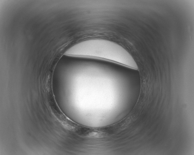 X0000080150364200612081058