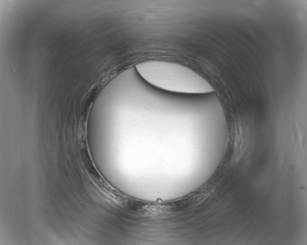 X0000080150367200612081058
