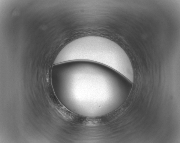X0000080150368200612081058