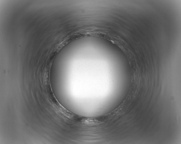 X0000080150372200612081058