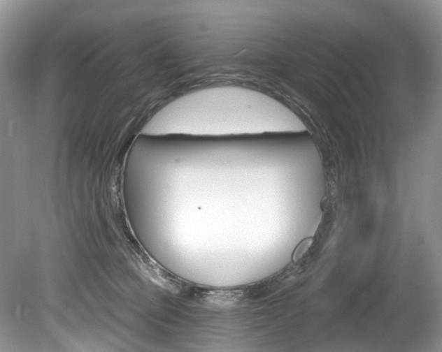 X0000080150373200612081058