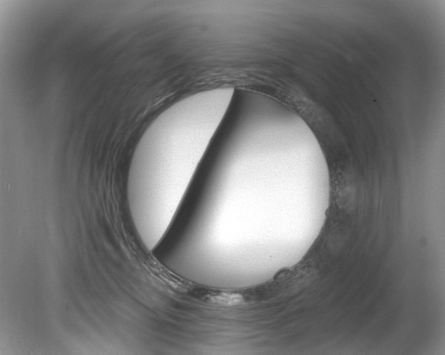 X0000080150374200612081058