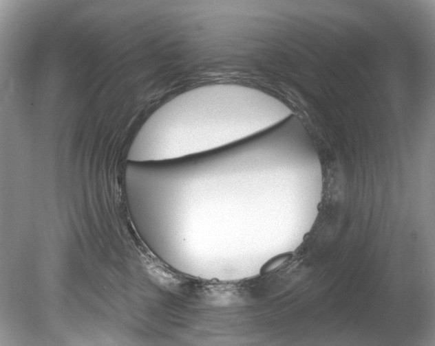 X0000080150377200612081058