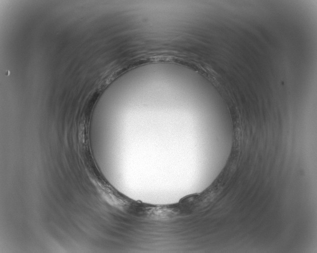 X0000080150379200612081059