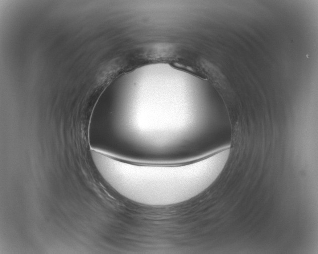 X0000080150380200612081059