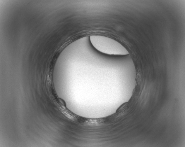 X0000080150381200612081059