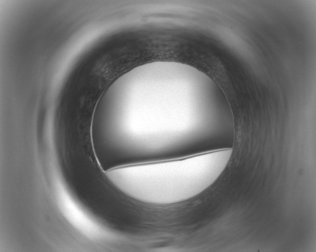 X0000080150383200612081059