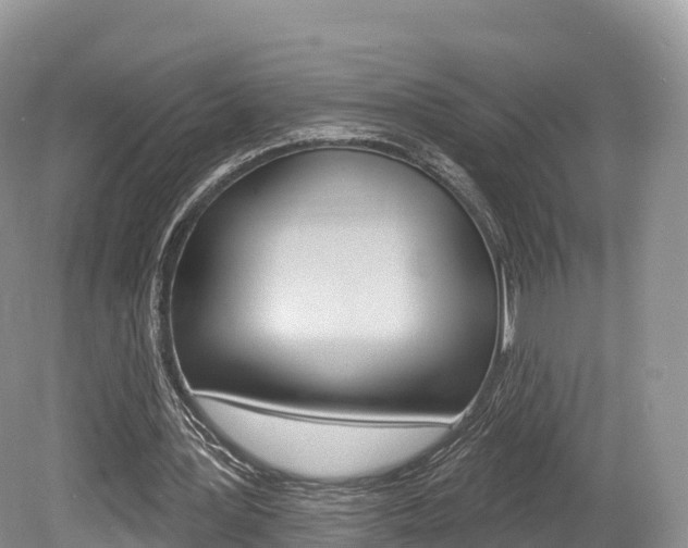 X0000080150387200612081058