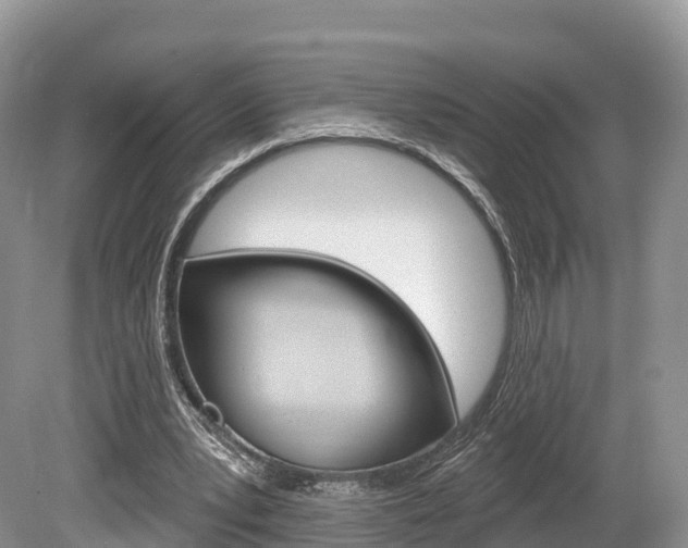 X0000080150391200612081058
