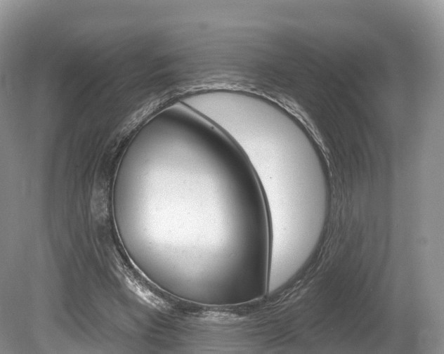 X0000080150393200612081058