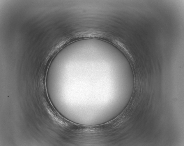 X0000080150394200612081058