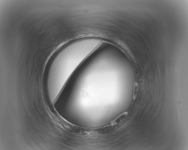 X0000080150395200612081058
