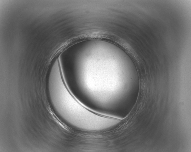 X0000080150397200612081058