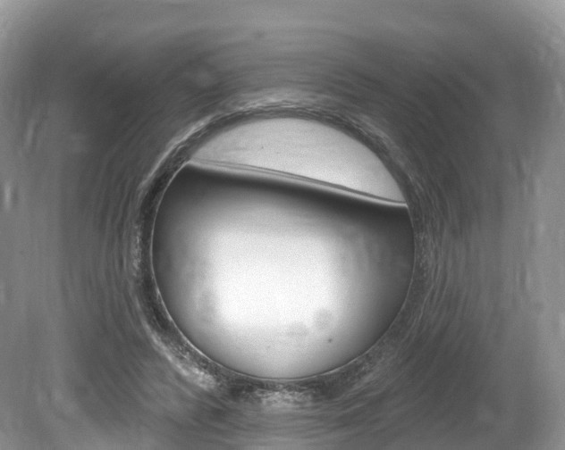 X0000080150400200612081058