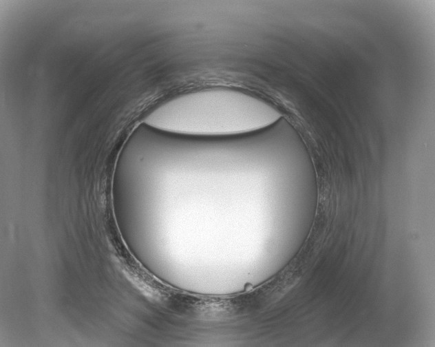 X0000080150402200612081058