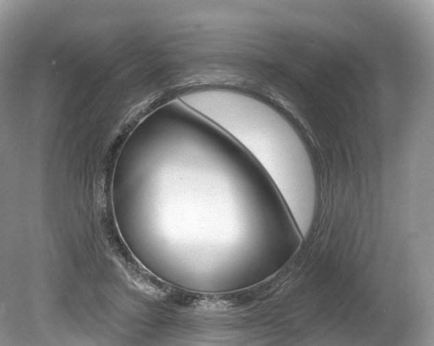 X0000080150403200612081057