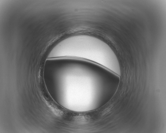 X0000080150404200612081057