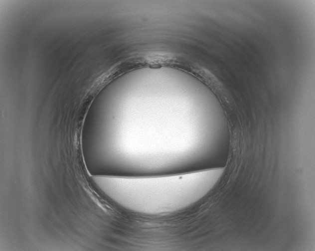 X0000080150405200612081057