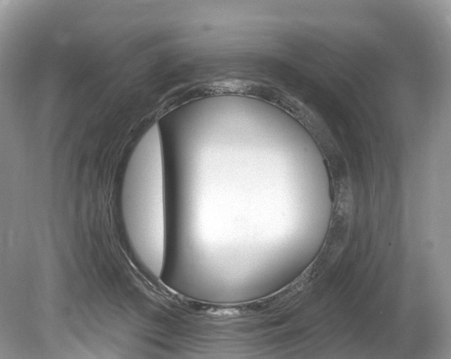 X0000080150409200612081057