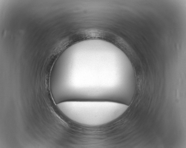 X0000080150410200612081057