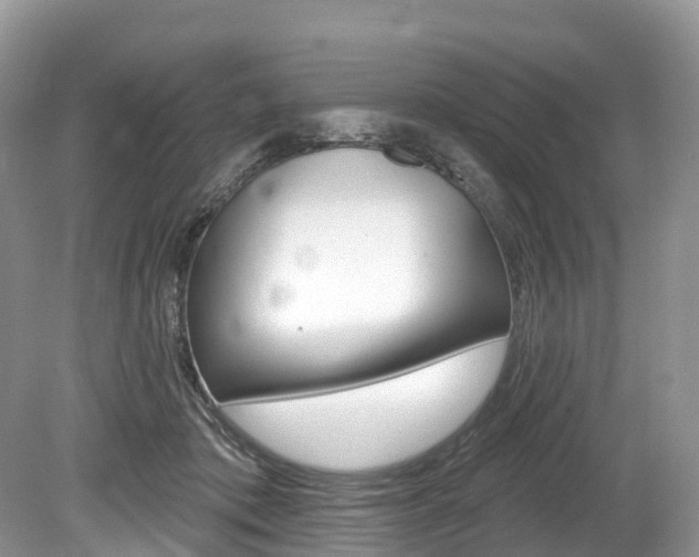 X0000080150413200612081057