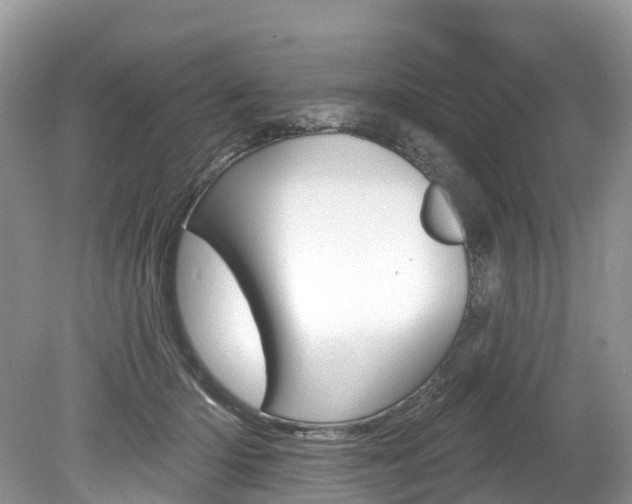 X0000080150414200612081057