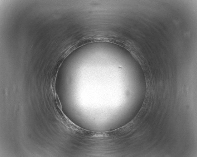 X0000080150415200612081057