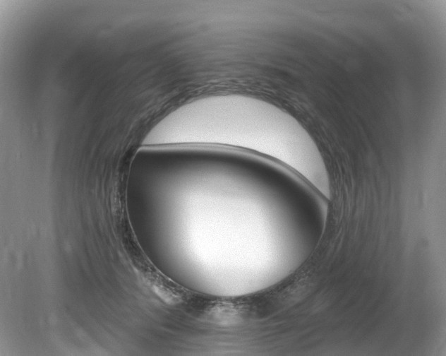 X0000080150416200612081057