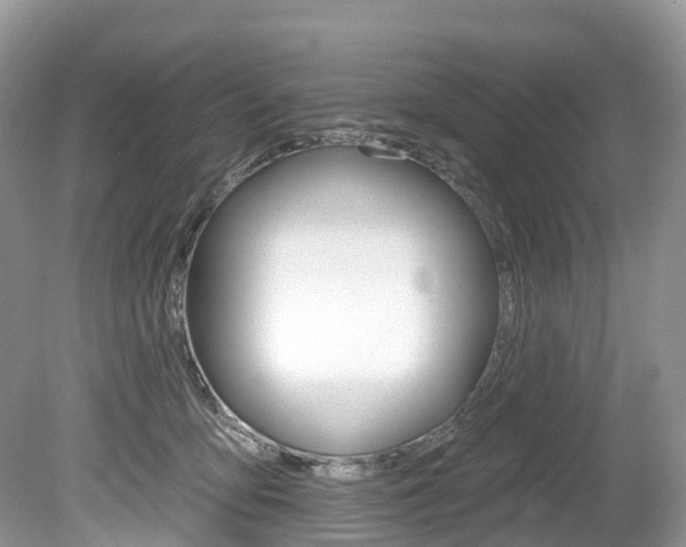 X0000080150419200612081057